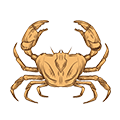 Kreeft