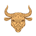 Stier