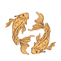 Vissen